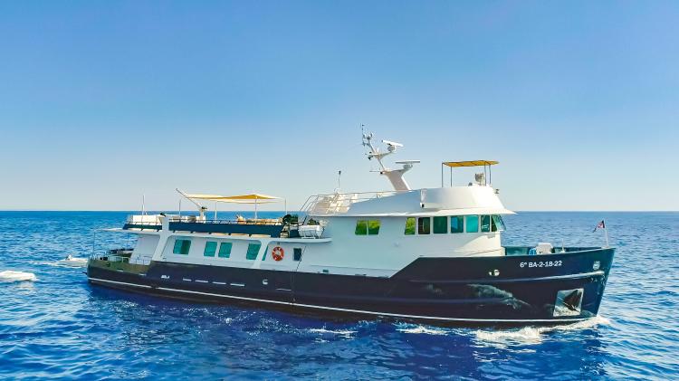 Halter marine 33-img1